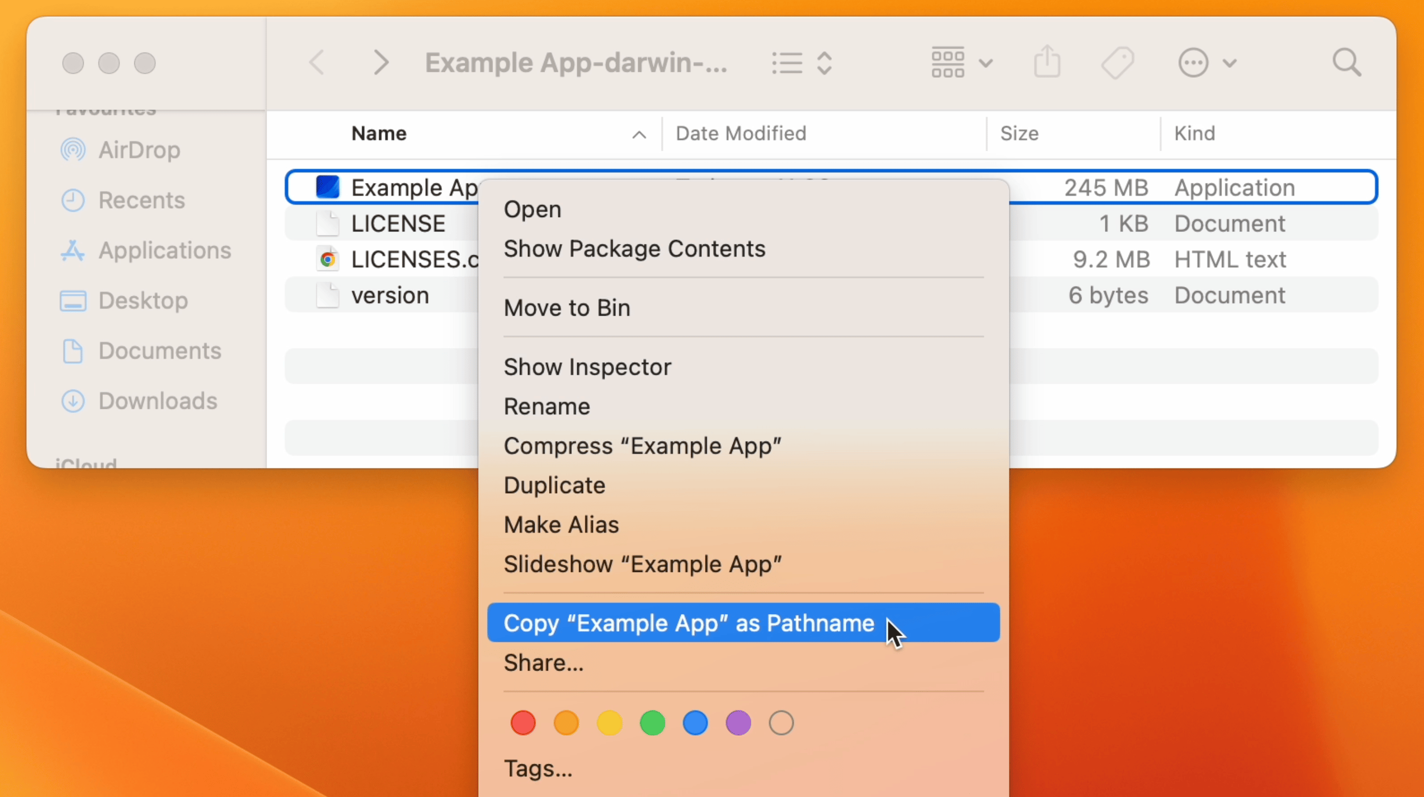 Dropdown menu showing the copy app pathname menu option