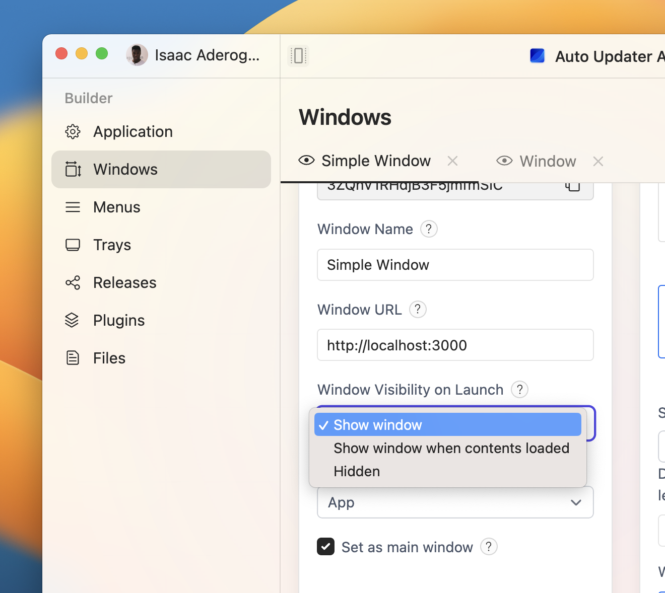 Settings for configuring a window's visibility on launch