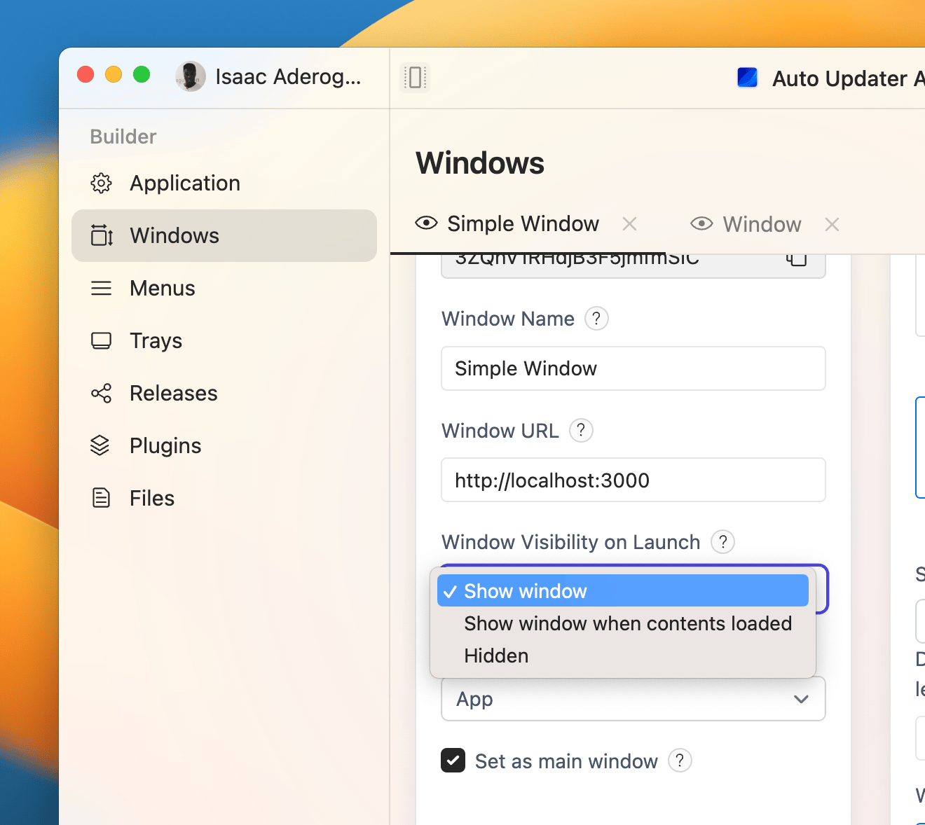 Settings for configuring a window's visibility on launch